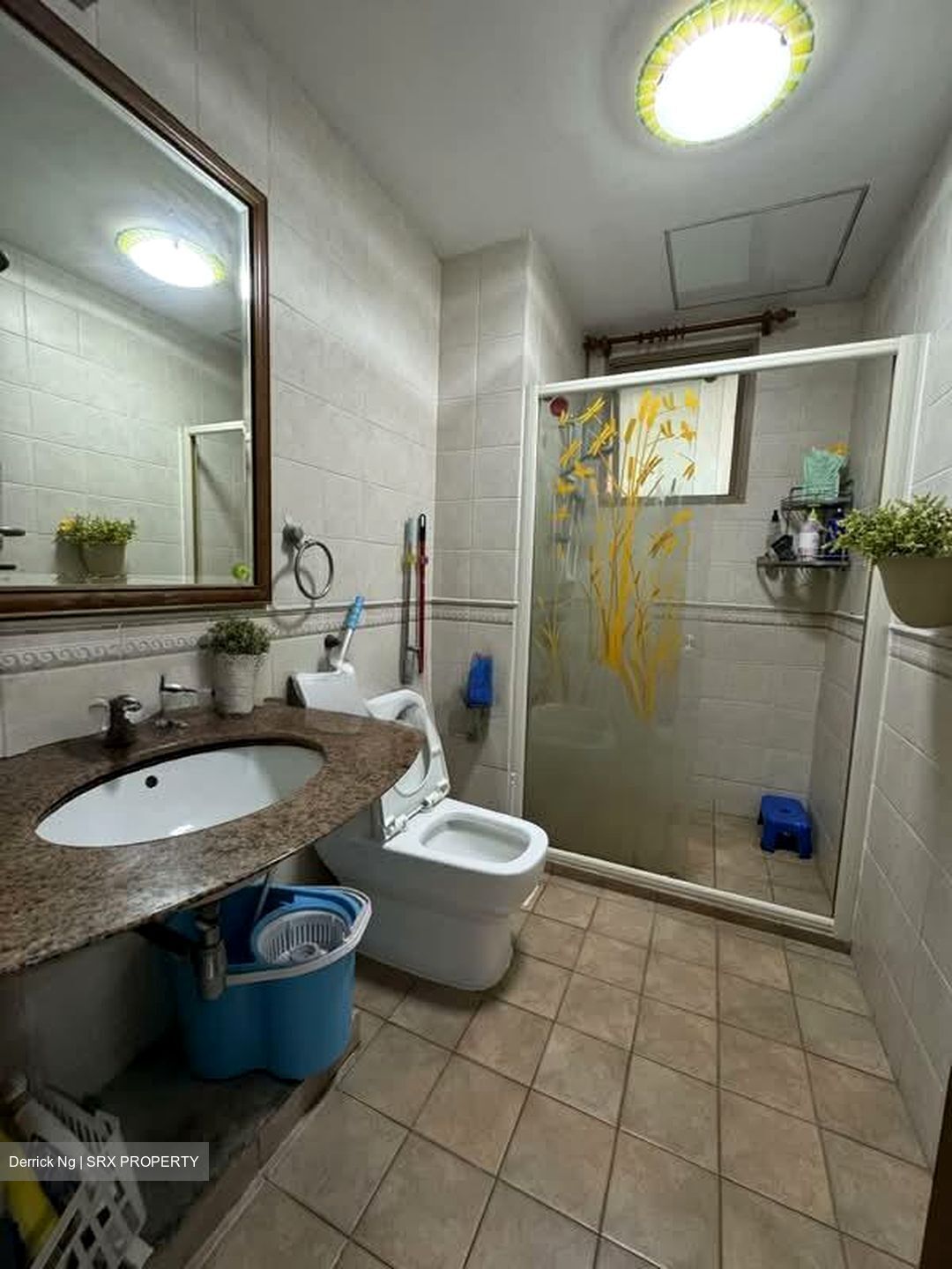 The Rivervale (D19), Condominium #545986111
